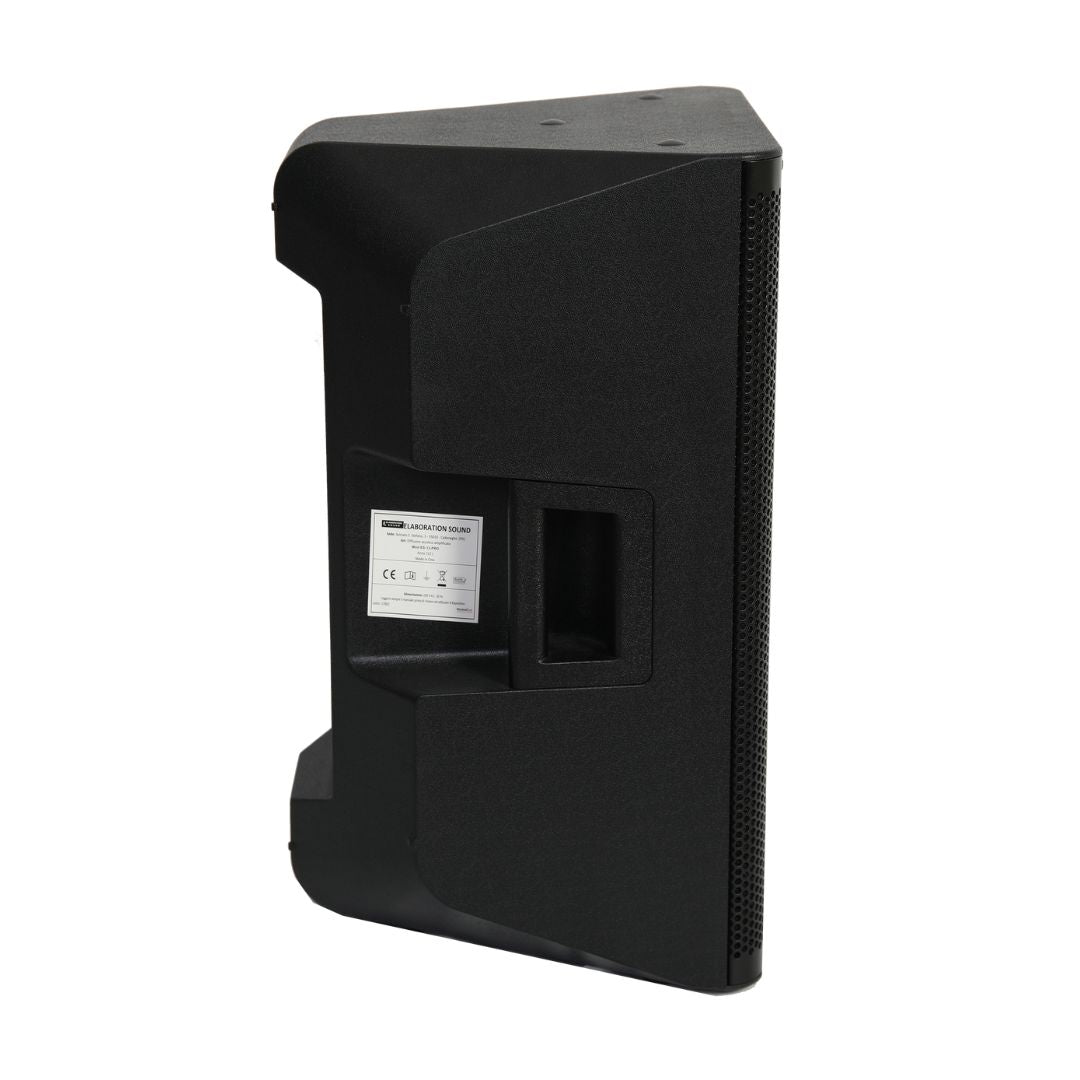 Diffusore Attivo Professionale ES-12-PRO