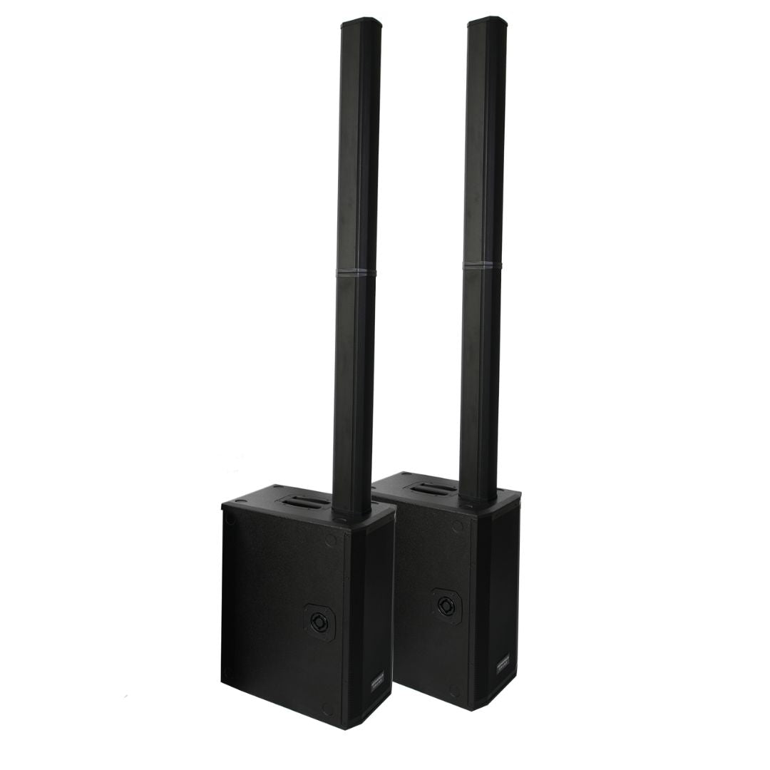 Sistema Line Array a colonna ES-210-900 (Coppia)
