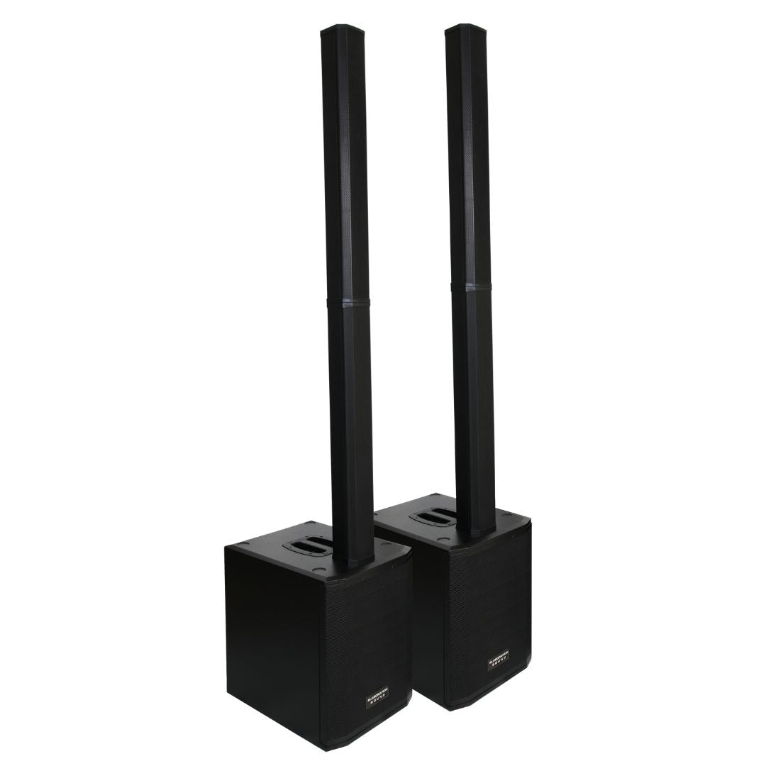 Sistema Line Array a colonna ES-12-800 (Coppia)